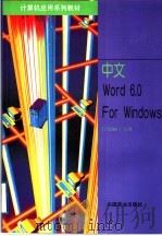 中文Word 6.0 for Windows   1997  PDF电子版封面  7504435058  丁玉琦主编 