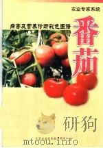 农业专家系统  病害及营养诊断彩色图谱  番茄（ PDF版）