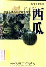 农业专家系统  病害及营养诊断彩色图谱  西瓜     PDF电子版封面    北京农业信息技术研究中心 