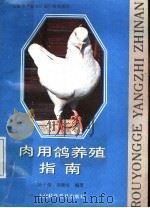 肉用鸽养殖指南   1988  PDF电子版封面  7542700960  陆子强，韦颂汉编著 