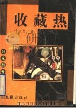 收藏热   1995  PDF电子版封面  7805313369  叶永烈著 