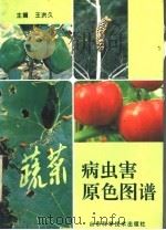 蔬菜病虫害原色图谱   1994  PDF电子版封面  7533114817  王洪久主编 