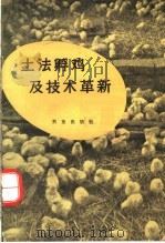 土法孵鸡及技术革新   1960  PDF电子版封面  16144·979  刘旭初著 