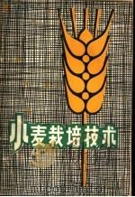 小麦栽培技术   1979  PDF电子版封面  16113·68  广西玉米研究所编著 