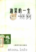 油菜的一生   1976  PDF电子版封面  16119·759  王祖福，陆稼农编著 