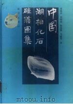 中国湖相化石硅藻图集   1998年06月第1版  PDF电子版封面    黄成彦 刘师成 程兆第 毛毓华 