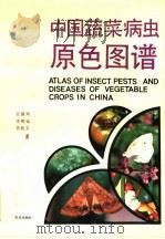 中国蔬菜病虫原色图谱  普通本（1992 PDF版）