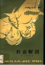 柞蚕解剖   1984  PDF电子版封面  16144·2841  陆明贤，张义成编著 