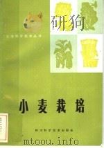 小麦栽培   1984  PDF电子版封面  16298·39  颜济著 