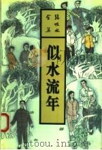 似水流年   1993  PDF电子版封面  7537807655  张恨水著 