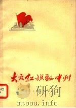 大庆红旗飘中州   1973  PDF电子版封面  3105·124   