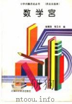 数学宫  供五年级用（1995 PDF版）