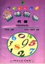 超味数学  4  ·代数   1996  PDF电子版封面  7216019857  汪江松主编；汪江松，杨世明编著 