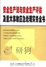 安全生产法与安全生产评估及重大事故应急处理实务全书  第4卷     PDF电子版封面    帅长红主编 