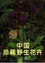 中国珍稀野生花卉  1   1996  PDF电子版封面  7503811986  冯国楣主编 