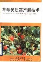 草莓优质高产新技术（1992 PDF版）