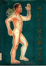 标准针灸经穴部位图谱   1990  PDF电子版封面  7506603357  中国中医研究院针灸研究所编制 