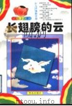 长翅膀的云   1996  PDF电子版封面  7543614669  孙震著 