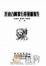 沂南古画像石墓发掘报告（1956 PDF版）