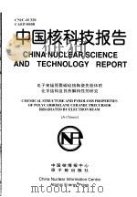 中国核科技报告  电子束辐照聚碳硅烷陶瓷先驱体的化学结构及其热解特性的研究   1998  PDF电子版封面    许云书 