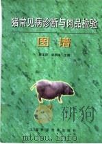 猪常见病诊断与肉品检验图谱   1998  PDF电子版封面  7532346633  蔡宝祥，郑明球主编 