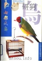 七彩文鸟（1999 PDF版）