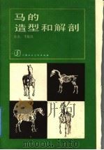马的造型和解剖   1987  PDF电子版封面  8081·15018  李景凯著 