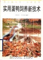 实用蛋鸭饲养新技术   1996  PDF电子版封面  7805389004  周大生，王宝英编著 