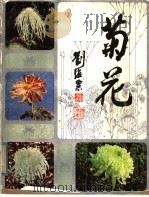 菊花   1985  PDF电子版封面  8081·13646  刘师汉，洪波，徐欣，梅慧敏编 