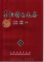 金相图片选集   1981  PDF电子版封面    于柏年，李镇刚，宋绍琪，李顺英主编 
