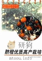 脐橙优质高产栽培   1998  PDF电子版封面  7539013281  徐大宏，赖晓桦，周琪编著 