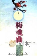 梅魂曲   1997  PDF电子版封面  7539616040  王庆云著 