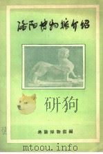 洛阳博物馆介绍     PDF电子版封面    洛阳博物馆编 
