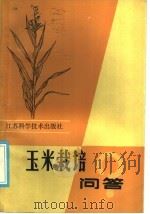 玉米栽培问答   1985  PDF电子版封面  16196·195  黄炳生，王秀伦编 