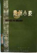 贵州小麦栽培与育种（1985 PDF版）