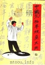 中国太极拳统真大典  卷3   1998  PDF电子版封面  7801031067  李兆生著 