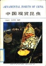 中国观赏昆虫   1990  PDF电子版封面  7540706031  邓振华，文平洋编著 