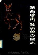 陕西珍贵经济兽类图志   1981  PDF电子版封面  13202·23  陕西省动物研究所主编 