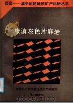 康滇灰色片麻岩   1988  PDF电子版封面  7536602464  贺节明等著 