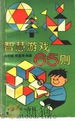 智慧游戏65则   1993  PDF电子版封面  7805116024  朱仰慈，郑菡萍编著 