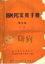 IBM PC实用手册 微电脑 下     PDF电子版封面    何玉珍，贾天，肖兴权译校 