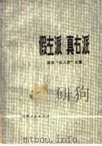 假左派  真右派  揭批“四人帮”文   1977  PDF电子版封面  3102·516   