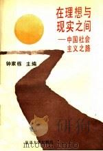 在理想与现实之间  中国社会主义之路（1991 PDF版）