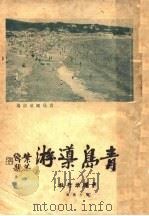 青岛导游  第2版（1935 PDF版）