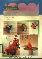 花卉世界  家庭装饰百科（1991 PDF版）
