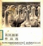 农民摄影作品选   1984  PDF电子版封面  8081·14047   