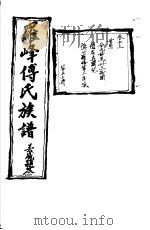 罗峰传氏族谱  第13卷     PDF电子版封面     