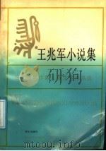 王兆军小说集   1991  PDF电子版封面  7533211766  王兆军著 