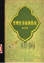 贵州经济植物图说  第4册   1960  PDF电子版封面  16115·256  林修灏等编 