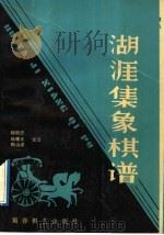 湖涯集象棋谱   1992  PDF电子版封面  7805483388  杨明忠等诠注 